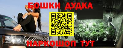 стафф Заводоуковск